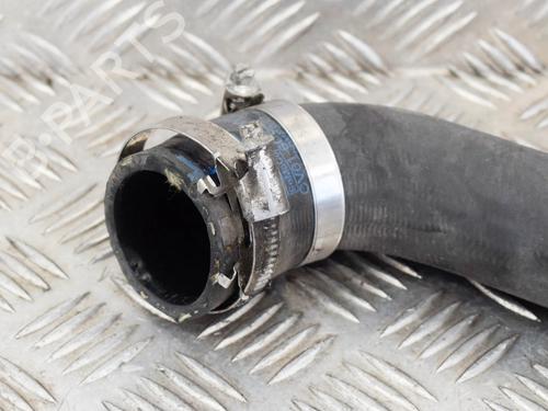 Pipe FORD FOCUS III 1.0 EcoBoost | BP9509557M125 