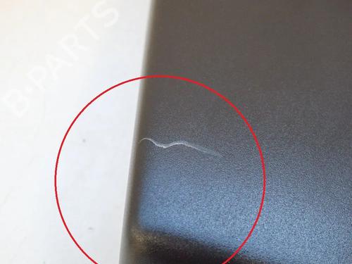 - Image 6