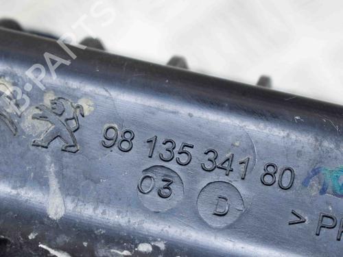 Air filter box CITROËN C3 III (SX) 1.2 VTi 82 | BP10369147M87 