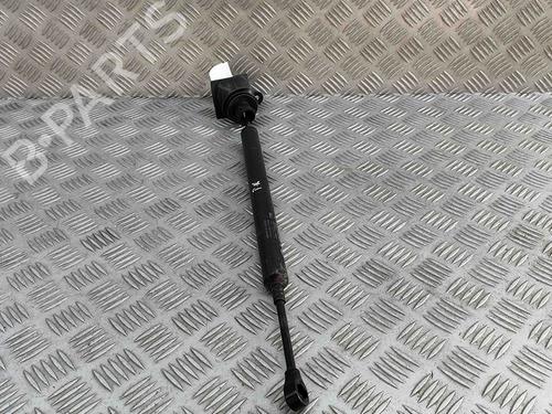 Hinge/Door check strap PORSCHE PANAMERA (970) 3.6 4 | BP27799407C146 