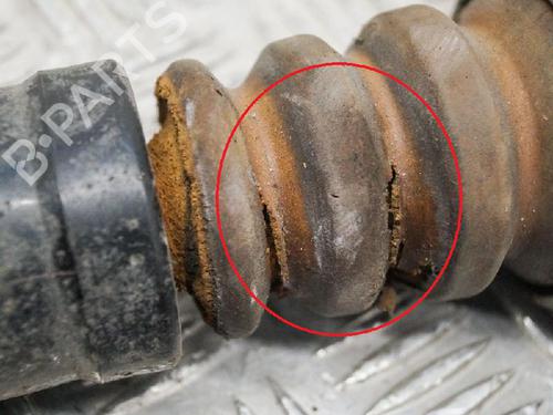 Right rear shock absorber SKODA OCTAVIA II Combi (1Z5) 1.9 TDI | BP6722706M19 