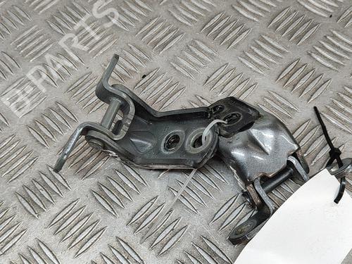 Hinge/Door check strap NISSAN JUKE (F16_) DIG-T 117 | BP28551124C146