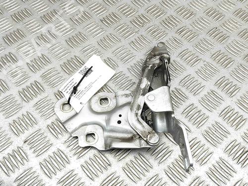 Hinge/Door check strap BMW X3 (F25) xDrive 20 d | BP29310447C146 