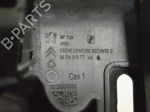 Step PEUGEOT 3008 I MPV (0U_) 1.6 HDi | BP30224811C149