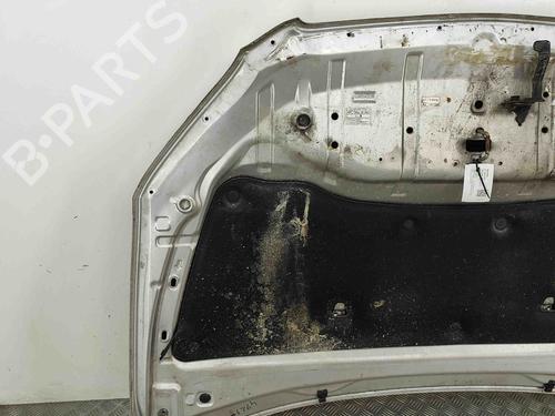 Hood TOYOTA RAV 4 III (_A3_) 2.2 D 4WD (ALA30_, ALA30R) | BP29867349C1