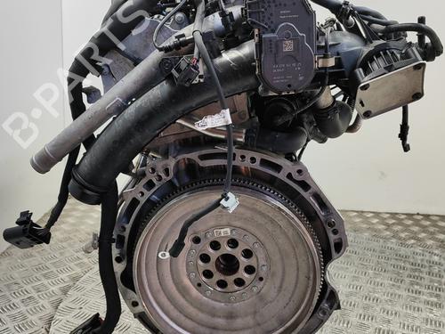 Engine INFINITI Q30 1.6 | BP28563198M1