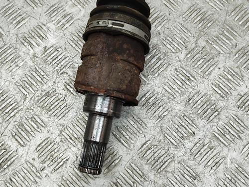  - Image 4
