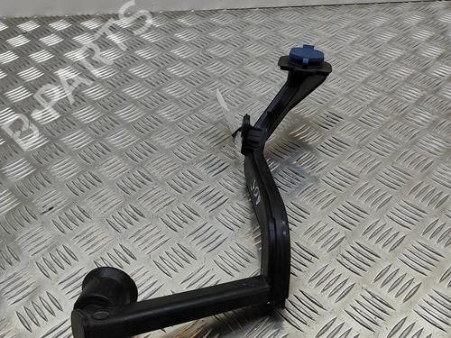Pipe BMW 7 (G11, G12) 730 d | BP19501164M125 