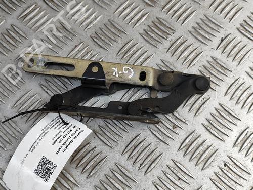Hinge/Door check strap PORSCHE 911 (996) 3.6 Carrera 4 | BP27933834C146 