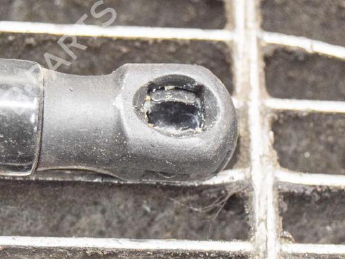Hood lift support LAND ROVER RANGE ROVER EVOQUE (L538) 2.0 D | BP14618908C139 