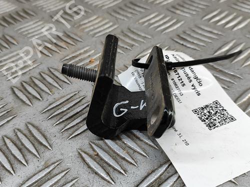 Hinge/Door check strap AUDI Q8 (4MN, 4MT) 50 TDI Mild Hybrid quattro | BP29234585C146 