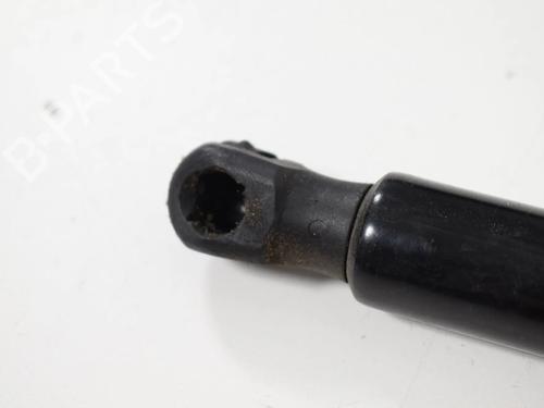 Tailgate lift support VW GOLF VII (5G1, BQ1, BE1, BE2) 2.0 R 4motion | BP30257065C138