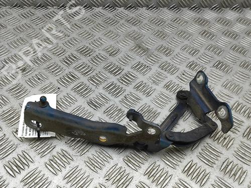 Hinge/Door check strap JAGUAR XJ (X350, X358) D 2.7 | BP31021257C146