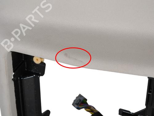 Techo interior JAGUAR XJ (X351) 3.0 SDV6 | BP30254571I12 