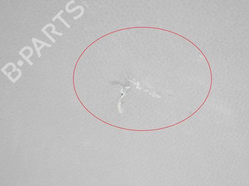  - Image 6