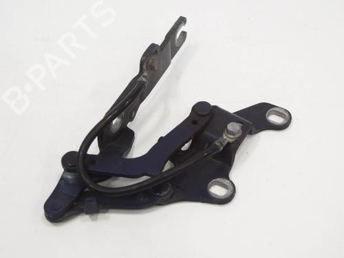 Hinge/Door check strap BMW 3 (E90) 330 d | BP14613415C146 