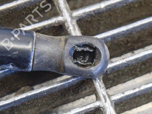 Hood lift support MERCEDES-BENZ E-CLASS (W212) E 220 CDI | BP14613590C139 