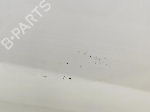 Right front door CITROËN JUMPY II Van 1.6 HDi 90 16V | BP27531985C3 