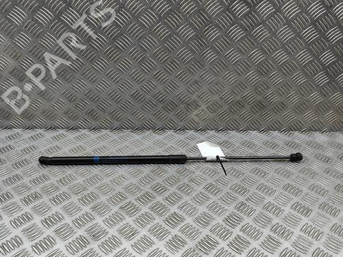 Tailgate lift support MERCEDES-BENZ GLC (X253) 300 d 4-matic (253.919) | BP29731138C138 