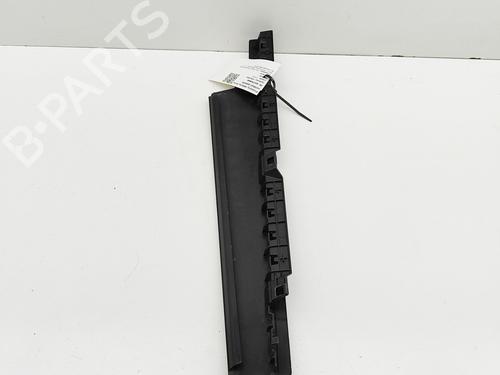 Door moulding trim VW PASSAT B8 Variant (3G5, CB5) 2.0 TDI | BP29867448C150