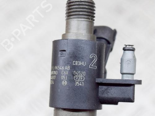 Injector LAND ROVER RANGE ROVER SPORT II (L494) 3.0 SDV6 4x4 | BP27756965M100