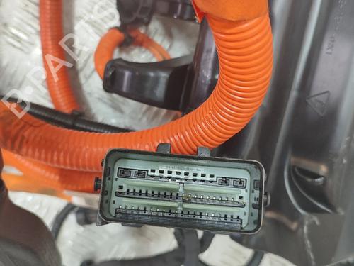 Wiring harness FORD KUGA III (DFK) 2.5 Duratec PHEV | BP29391790E16 