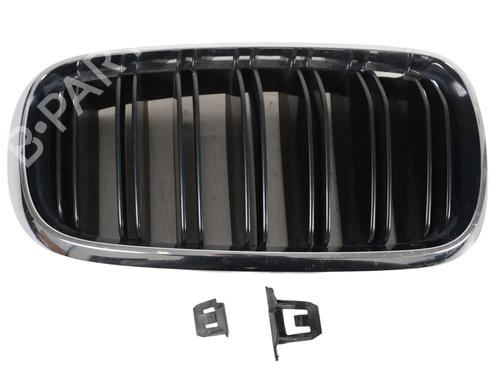 grille-bmw-1-f40-2019-33364794 main image