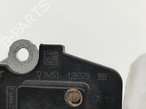 Luftmassemåler LAND ROVER RANGE ROVER SPORT II (L494) 4.4 SDV8 4x4 | BP29830149M95