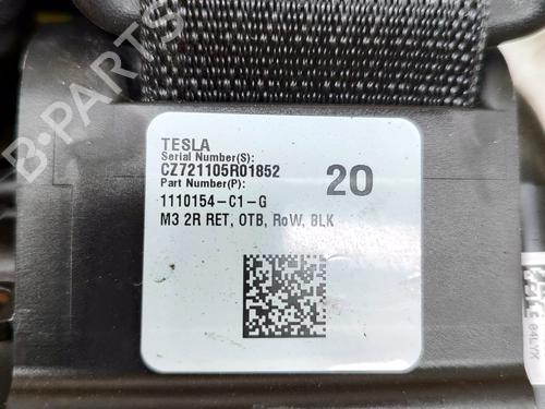 Rear left seatbelt TESLA MODEL 3 (5YJ3) EV AWD | BP28554493I29 