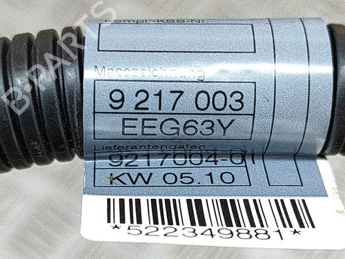 Cable BMW X5 (E70) xDrive 40 d | BP19428023E12 