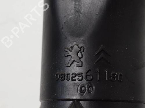 Pipe CITROËN DS4 (NX_) 1.2 THP 130 | BP31072597M125 