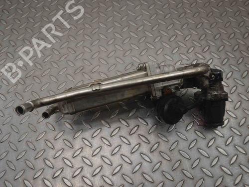 Egr NISSAN X-TRAIL III (T32_, T32R, T32RR) 1.6 DIG-T (T32) | BP30247386M69