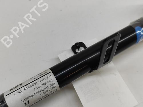 Left rear suspension arm MERCEDES-BENZ B-CLASS Sports Tourer (W245) B 180 CDI (245.207) | BP26733487M14 