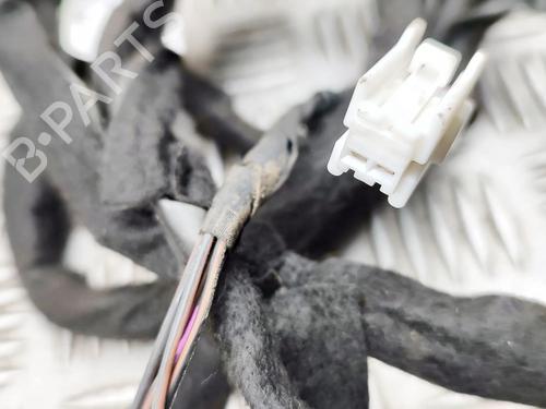 Ledningsnet SMART FORTWO Coupe (453) electric drive / EQ (453.391) | BP31748649E16 