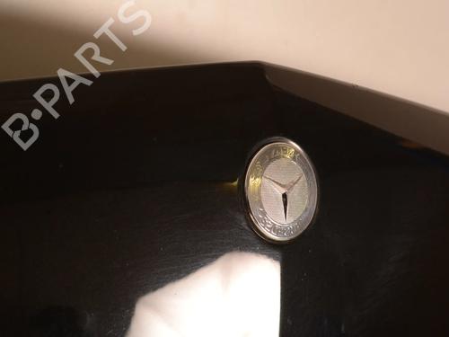 Hood MERCEDES-BENZ R-CLASS (W251, V251) R 280 CDI (251.121, 251.026, 251.126) | BP30232464C1