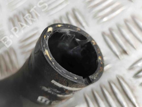 Pipe FIAT 500 (312_) 1.0 Mild Hybrid (312.AYD1B) | BP29373396M125 