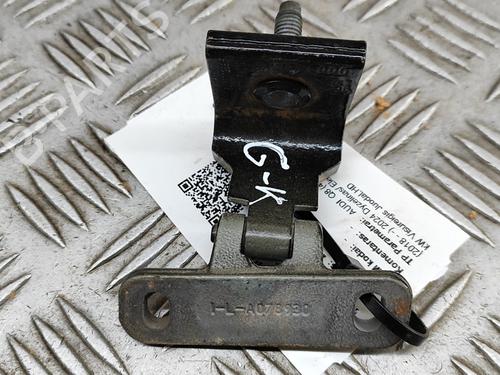Hinge/Door check strap AUDI Q8 (4MN, 4MT) 50 TDI Mild Hybrid quattro | BP29234585C146 