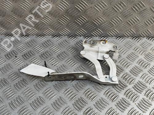 Hinge/Door check strap VW PASSAT B7 Variant (365) 2.0 TDI | BP27350565C146 