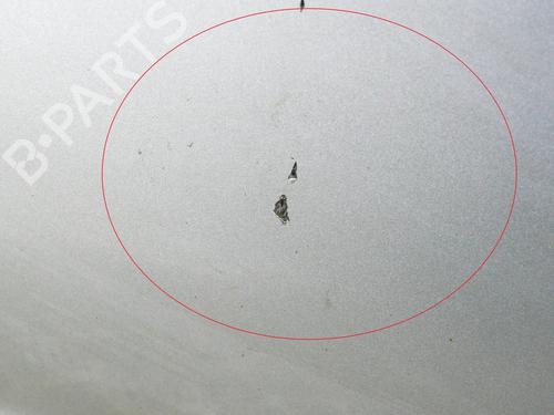 Left front door AUDI A6 C6 (4F2) 3.0 TDI quattro | BP30130448C2 