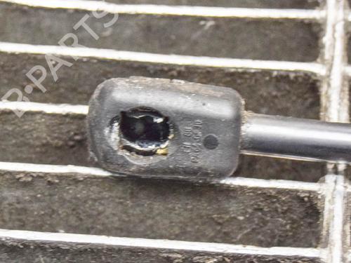 Hood lift support LAND ROVER RANGE ROVER EVOQUE (L538) 2.0 D | BP14618909C139 