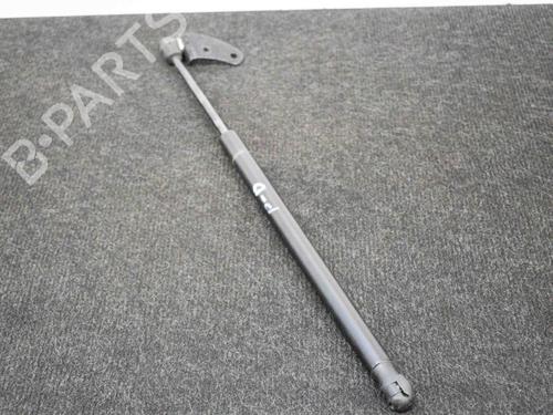 Used Hood lift support TESLA MODEL S (5YJS) 75D AWD (525 hp) 20233001