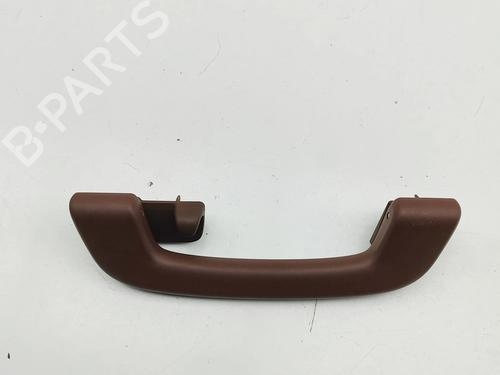 Håndtag i tag BMW XM (G09) XM All-wheel Drive | BP32501034I35 