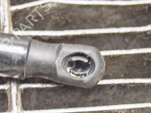 Hood lift support LAND ROVER RANGE ROVER EVOQUE (L538) 2.0 D | BP14618909C139 