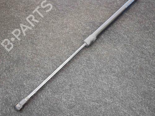 Tailgate lift support NISSAN QASHQAI II (J11, J11_) 1.5 dCi | BP14666948C138