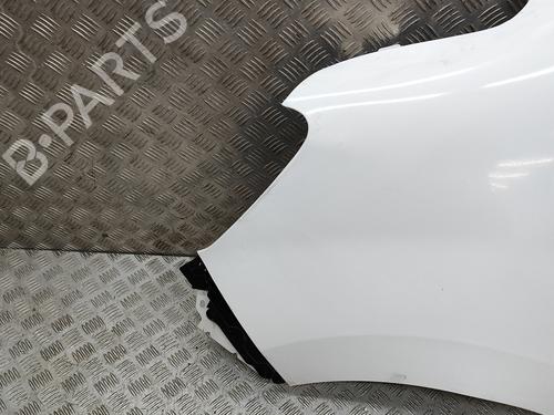 Left front fenders RENAULT MASTER III Van (FV) 2.3 dCi 145 FWD (FV0E, FV0F, FV0H, FV02, FV0M, FV0S,... | BP30082318C41 
