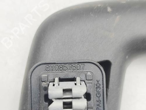 Interior roof handle CUPRA FORMENTOR (KM7, KMP) 1.4 e-Hybrid | BP31047515I35 