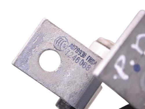 Hinge/Door check strap BMW 2 Convertible (F23) M 235 i | BP30235554C146