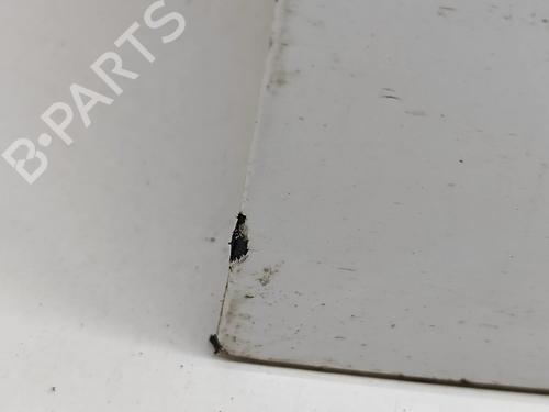 Door moulding trim JAGUAR I-PACE (X590) EV400 AWD | BP27767283C150