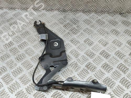 Hinge/Door check strap BMW X5 (E70) xDrive 40 d | BP19280958C146 