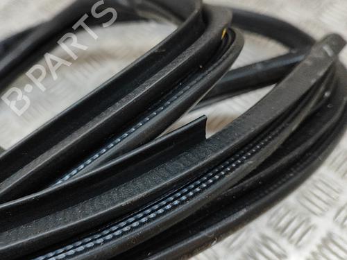 Rubber door seal LEXUS NX (_Z1_) 300h AWD (AYZ15, AYZ15_, AYZ15R) | BP28028752C142 